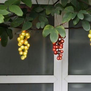 Grape Lights Manufacturers Suppliers China Grape Lights Factory